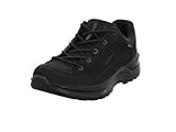 LOWA Adult Renegade EVO GTX LO W schwarz Gr. 42,5