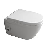 Alpenberger Dusch WC Set | Wand WC Spülrandlos mit Nano | WC Sitz mit Absenkautomatik | Moderne Toilette mit Bidet Funktion | Kloschüssel mit Armatur für Intimdusche | Passend Geberit (Almeira 8250 U)