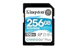 Kingston SDG3/256GB SD Speicherkarte (256GB SDXC Canvas Go Plus 170R C10 UHS-I U3 V30 )