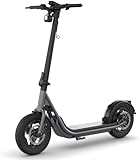 Egret X (DE) Faltbarer Offroad E-Scooter mit 12,5" Luftbereifung + Straßenzulassung (max. 20km/h) Reichweite bis 60 km, App-Steuerung, maximale Zuladung 120kg