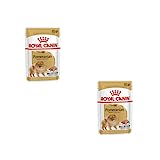 Royal Canin Pomeranian Adult | Doppelpack | 2 x 12 x 85 g | Alleinfuttermittel für Hunde | Für ausgewachsene und ältere Zwergspitze | Ab dem 8. Monat | Angepassten Mineralstoffgehalt