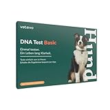 vetevo DNA Test Hund Basic Zur Rassenbestimmung, Gentest Hund auf 200+ Hunderassen, einfacher Hunde DNA Test für Zuhause, gratis Laborversand