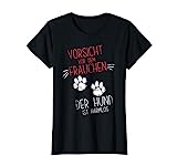 Vorsicht Vor Dem Frauchen Der Hund Ist Harmlos Gassi T-Shirt