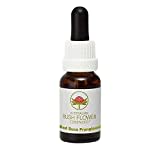 Bush Flower - Red Suva Frangipani 15 ml -Blumenessenz