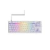 Fnatic STREAK80 LP Weiße TKL mechanische Low-Profile-Pro-Gaming-Tastatur, Geschwindigkeitsschalter mit kurzem Tastenhub, LED-RGB, PBT-Tastenkappen, leiser PORON-Schaum, US-ANSI-Layout QWERTY