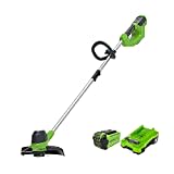 Greenworks 40V Akku Rasentrimmer für mittelgroße Gärten, höhenverstellbar, 30 cm Schnittbreite, automatischer Vorschub 1,65 mm Nylon Faden, 40V 2Ah Akku & Ladegerät, 3 Jahre Garantie G40LTK2