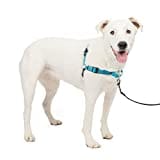 PetSafe Easy Walk Deluxe Geschirr, Gehgeschirr ohne Zug für Hunde, gepolstertes Design, inkl. 1,8 m Leine, mittelgroße/große ozeanblaue/Schwarze Leine