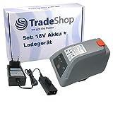 Trade-Shop 2in1 Set: Li-Ion Akku 18V / 2000mAh + Ladegerät inkl. Netzteil kompatibel mit Gardena 8025-20 Comfort Wand-Schlauchbox 35 Roll-up Automatic Li