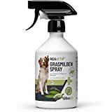 ReaVET Grasmilben Spray 500ml - Schutz, Abwehr und Pflege bei Grasmilben, Grasmilben-Ex Spray Hund, Anti Milben Spray zur effektiven Abwehr, Milbenstop, lindert Juckreiz