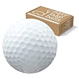 100 Marken Mix LAKEBALLS/GOLFBÄLLE - easylakeballs - QUALITÄT AAAA/AAA - IM NETZBEUTEL