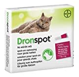 Bayer Dronspot Kat Spot On-L 5-8KG 2 PIP