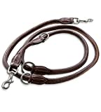 Jack & Russell Premium Leder Hundeleine Dexter 2,0m - Hunde Lederleine mit Messing-Karabiner - Echtleder Leine mehrfach verstellbar Dexter (Braun)