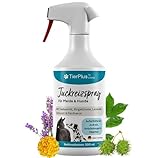 TierPlus Juckreizspray für Pferde & Hunde, 500 ml Sprühflasche, Gegen Juckreiz, Entzündungen & Ekzeme, Soforthilfe bei Allergien & trockener Haut, clevere Pflegeformel