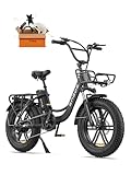 ENGWE E Bike Herren Elektrofahrräder-Ebike mit 48V 13Ah Batterie, E Bike 20 * 4.0 Zoll, E-Bike 7-Gang Getriebe mit LCD-Display, E Bike 250W Motor & 25km/h, Reichweite bis zu 150km L20/L20 Boost