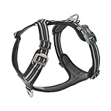 DOG Copenhagen Comfort Walk Air 3.0 Hundegeschirr - Geschirr für Hunde - Welpengeschirr, Black, L