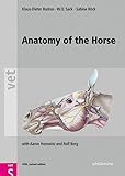 Anatomy of the Horse: With Aaron Horowitz and Rolf Berg