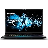 ERAZER Beast X40e 43,2cm (17 Zoll 240Hz) QHD+ Gaming Laptop (Intel Core i7-14700HX, 16GB DDR5 RAM, 1TB SSD, GeForce RTX 4070 8GB GDDR6, Win 11 Home)