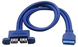 zdyCGTime USB-3.0-Kabel mit 2 Anschlüssen, USB A auf Motherboard-Header-Kabel (blau, 0,5 m, keine Eisenplatte)