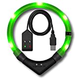 LEUCHTIE® Leuchthalsband Easy Charge für Hunde, USB aufladbar, wasserdichtes LED Halsband, extrem hell, 25h Leuchtdauer, kleine mittlere und große Hunde neongrün Größe 47,5