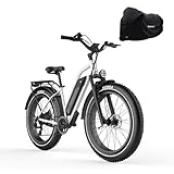 Himiway Cruiser ST Ebike 48V 17,5Ah/840Wh Akku, E-Mountainbike 250W 25 Km/h für Herren und Damen Elektrofahrräder mit 7-Gang-Kettenschaltung