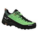 Salewa Herren Alp Trainer 2 GTX Multisportschuhe Schwarz/Grün 8,5