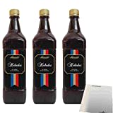 Lacroix Herbadox kräftige Gewürz Reduktion 3er Pack (3x1l Flasche) + usy Block