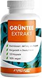 Grüntee Extrakt 120x Grüner Tee Kapseln - 1333 mg pro Tag, davon 600 mg EGCG - Grüntee Kapseln hochdosiert + Schwarzer Pfeffer - Grüner Tee Extrakt mit 98% Polyphenolen - laborgeprüft - 100% vegan