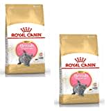 ROYAL CANIN British Shorthair Kitten | Doppelpack | 2 x 400 g | Trockenfutter für BKH Kätzchen | Bis zum 12. Monat | Zur Unterstützung des Wachstums von Knochen und Muskeln