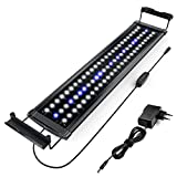 Honpal LED Aquarium Licht, Aquarium Beleuchtung für Fisch & Plant, 10W Weiße & Blaue für 40-60CM Aquarium, Aquarium Lampe Fischtank Licht mit Ausziehbaren Halterungen