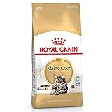 Royal Canin Katzenfutter Maine Coon 31, 4 kg