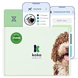 Koko Genetics - DNA-Test für Hunde Starter (Rassen und Eigenschaften) - Upgrades kostenlos