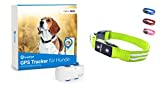 Tractive GPS Tracker für Hunde + LED-Halsband. Live-Ortung mit unbegrenzter Reichweite (Grün, S)