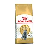 Royal Canin Feline British Shorthair, 1er Pack (1 x 10 kg Beutel) - Katzenfutter