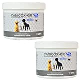 NutriLabs Canicox GR - Ergänzungsfuttermittel für ältere Hunde - Doppelpack - 2 x 100 Tabletten