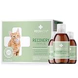 RECOACTIV Recovery Immun für Katzen, 3 x 90 ml, hochkalorisches Diät-Alleinfuttermittel bei Mangelernährung und in der Rekonvaleszenz, zur Gewichtszunahme sowie bei Nahrungsverweigerung