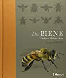 Die Biene: Geschichte, Biologie, Arten