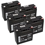 Akku-Satz mit 5 Stück Q-Batteries 12V 23Ah für LuXXon Elektromobile