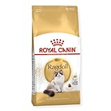 Royal Canin Katzenfutter Ragdoll 2 kg, 1er Pack (1 x 2 kg)