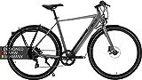 AsVIVA Urban E-Bike BC1-C I 28 Zoll Pedelec in Grau I hochwertiges Elektrobike mit extra starkem Akku I Elegantes City-Bike mit Hinterradmotor I Elektrofahrrad Herren mit Kettenantrieb