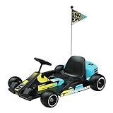 Razor Ground Force Elite - Elektro-Gokart für 13+ Jahre, bis zu 14 MPH, bis zu 40 Minuten Dauerbetrieb, 350-Watt-Kettenmotor, Vorwärts-/Rückwärtsfahrtschalter, 36V-Akku