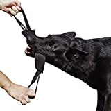 Dingo Gear Baumwolle-Nylon Beißwurst für Hundetraining IGP IPO Obiedence Schutzhund Hundesport 28 x 7 cm, 2 Griffen Schwarz S00074