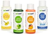 winwin clean Systemische Reinigung 4 x 100ml Fresh AIR Luftreinigungskonzentrat I Wellness I Mango I Green Apple I Zero