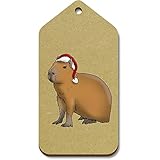 Azeeda 10 x Groß 'Weihnachts-Capybara' Hölzerne Tags (TG00108238)