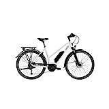 HAWK E-Trekking 500 Lady I E-Bike Damen I Fahrrad mit Bosch Rahmenplattform & Active Line Plus Mittelmotor I E Bike Damen mit Tektro Scheibenbremse