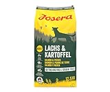 JOSERA Lachs & Kartoffel (1 x 12,5 kg) | Adult | Premium Trockenfutter für ausgewachsene Hunde | Kartoffel & Lachs als einzige tierische Proteinquelle | getreidefrei | Hundefutter| 1er Pack