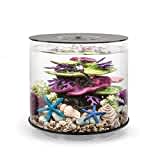 biOrb 72062 TUBE 15 LED schwarz - 15 Liter 360-Grad Deko-Aquarium | Komplett-Set aus Acryl-Glas mit LED-Beleuchtung, Filter-System und Boden-Keramik