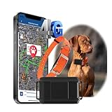 Zeerkeer 4G GPS Hunde Jagdhund Tracker Ohne ABO Weltweite Live-Ortung Wasserdicht Hund Halsbänder mit Haustiersuche durch Licht/Ton & Smart Activity Tracking Gerät für mittelgroßer bis großer Hund