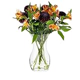 TREND FOR HOME Blumenvase 25 cm Vase für Tulpen Tulpenvase Glasvase für Blumen Glasblumenvase Tischvase Dekovase Klarglasvase Deko-Vase Wohnzimmer Deko Dekorative Vase | ⌀ 14 cm | 2410 ml | Lily