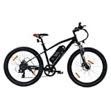 SachsenRAD E-Bike R6 Neo 26 Zoll Elektrofahrrad Pedelec mit TÜV | bis zu 25 km/h und 150km, 36V 500Wh Akku, 250W Motor, 7-Gang-Schaltung, Scheibenbremse | Damen Herren Mountainbike MTB