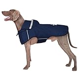 BiPawTi Regenjacke Hund Wasserdicht für Große Hunde, Hund Regenmantel mit Reflektierenden Kapuze & Klettverschluss - Ultraleicht Hunderegenmantel Regenjacken für Hunde Sichere Gassigänge (XL | Blau)